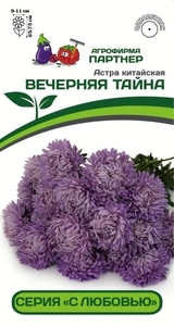 Астра китайская Вечерняя Тайна 5 шт, Партнёр
