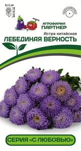 Астра китайская Лебединая Верность 5 шт, Партнёр