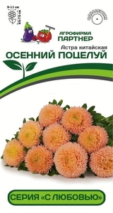 Астра китайская Осенний Поцелуй 5 шт, Партнёр
