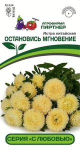 Астра китайская Остановись Мгновение 5 шт, Партнёр
