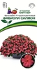 Бальзамин Фабиола Салмон F1 Уоллера 5 шт, Яркие цветные облака из детской сказки стали реальностью с крупноцветковым бальзамином!, Партнёр