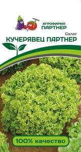 Салат Кучерявец Партнер 1 г, Партнёр