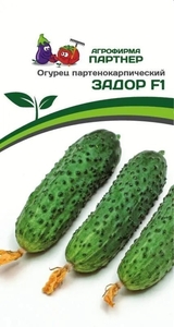 Огурец Задор F1 10 шт, Пригоден для производства пикулей. Вкусовые качества отличные, товарность и транспортабельность высокая, Партнёр