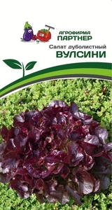 Салат Вулсини дуболистный 15 шт, Растение формирует невероятно красивую ажурную розетку, достигающую в диаметре 25-30 см, Партнёр