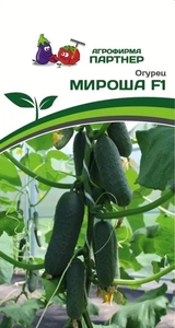 Огурец Мироша F1 10 шт, Плоды генетически без горечи и пустот. Мякоть огурцов сочная, хрустящая и плотная, очень приятная на вкус, Партнёр