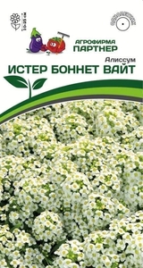 Алиссум морской Истер Боннет Вайт 0.01 г, распространяюет по саду дивный медовый аромат, на который слетается бессчетное количество бабочек и насекомых опылителей, Партнёр