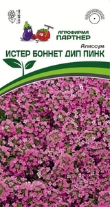 Алиссум морской Истер Боннет Дип Пинк 0.01 г, Алиссум абсолютно устойчив к непогоде, его обворожительный внешний вид не испортит ни дождь, ни ветер. Истер Боннет отличается самым ранним и продолжительным цветением, Партнёр