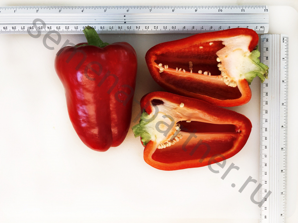 Перец сладкий Регор F1 5шт, Перцы необыкновенно вкусные уже в технической спелости,Партнёр