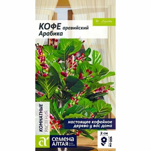Кофе Арабика аравийский 5 шт, Семена Алтая